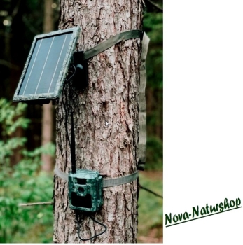 Solar-Panel für die Wildkamera