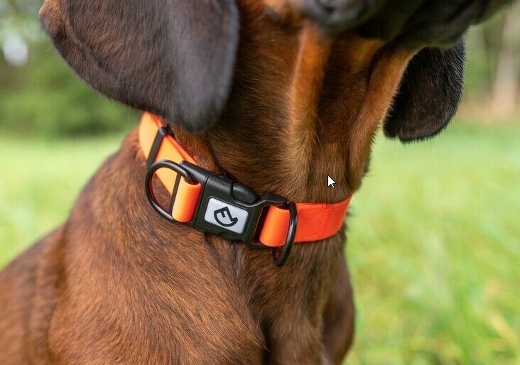 nova-naturshop.de - Jagdhunde Signal Halsung, Warn Halsband mit  Schnellverschlu