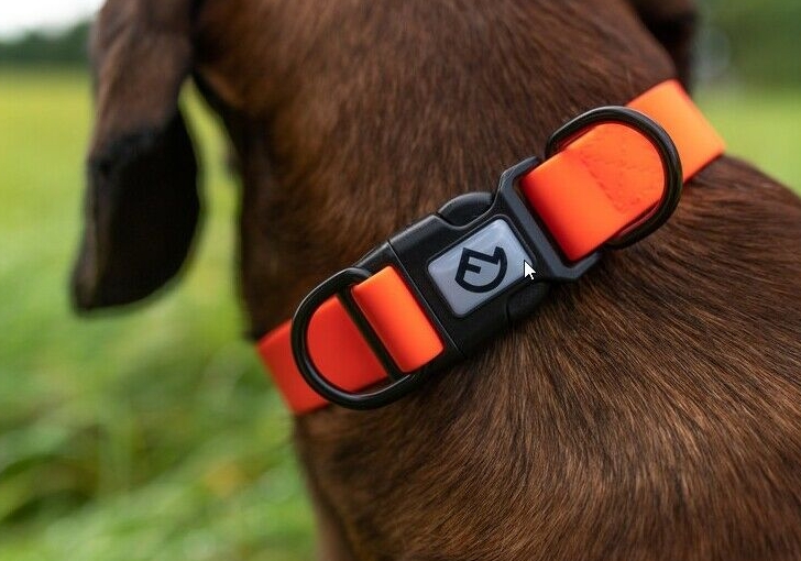 gps halsbänder für katzen CATSAFE Spur – GPS-Verfolger Halsband für Sicherheit & Sichtbarkeit bei  Katzen – Wohnish