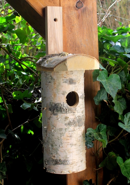 Nistkasten XXL, Handarbeit, Schlupfloch Ø 40 cm, Nistkasten Birke , Großer Nistkasten