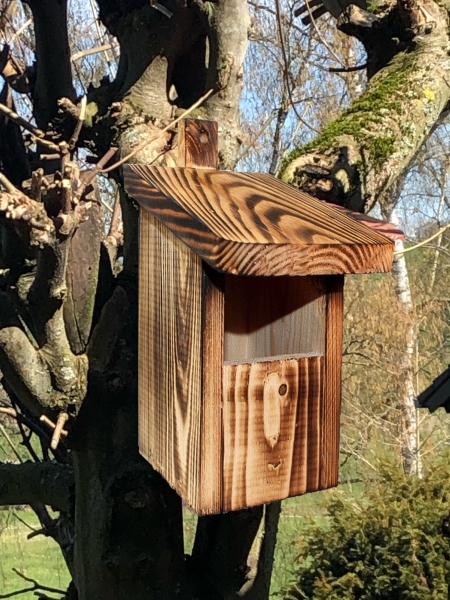 Nistkasten für Halbhöhlenbrüter, Massivholz, geflammt , Nistkasten , Vogel Nisthäuschen