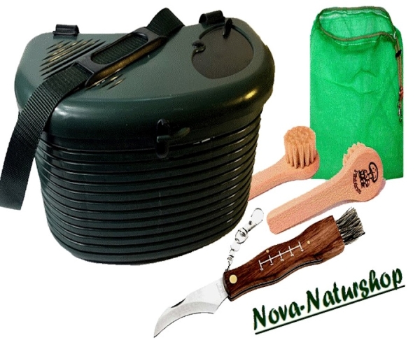 Pilzkorb "Waldfrucht", SET mit Pilznetz , Pilzmesser, Pilzbürste