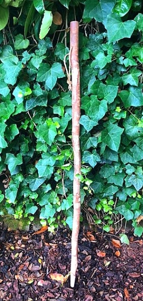 Wanderstock mit Kompass, Hirtenstock , Pilgerstock ,  110 cm