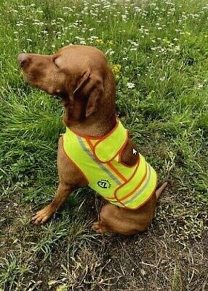 Jagdhunde Reflektorweste, Hunde Warnweste mit einstellbaren Klettband , Hunde - Signalweste